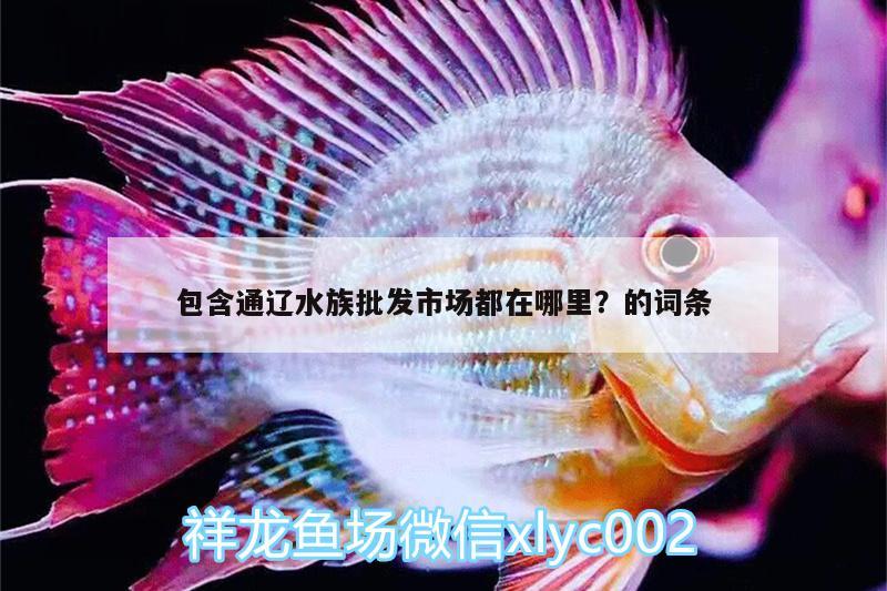 包含通遼水族批發(fā)市場(chǎng)都在哪里？的詞條 觀賞魚水族批發(fā)市場(chǎng)