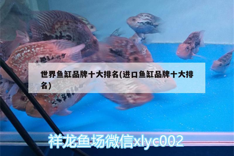 世界魚缸品牌十大排名(進口魚缸品牌十大排名)