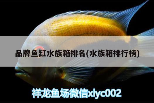 品牌魚缸水族箱排名(水族箱排行榜)