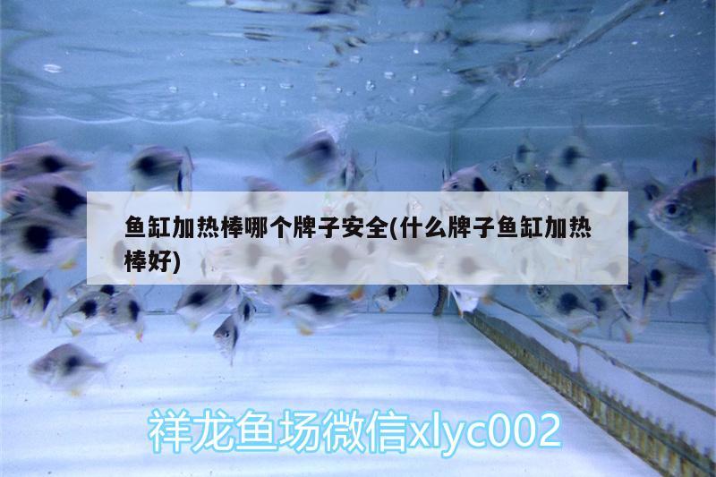 魚缸加熱棒哪個(gè)牌子安全(什么牌子魚缸加熱棒好) 二氧化碳設(shè)備