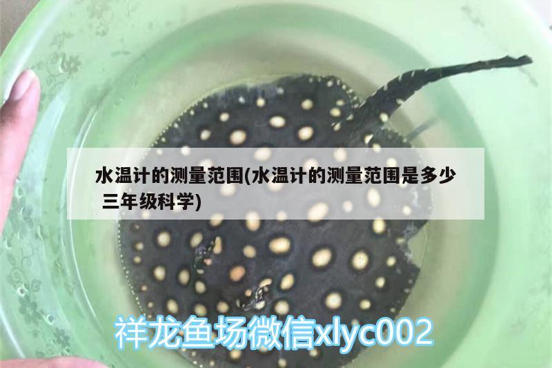 水溫計的測量范圍(水溫計的測量范圍是多少三年級科學)