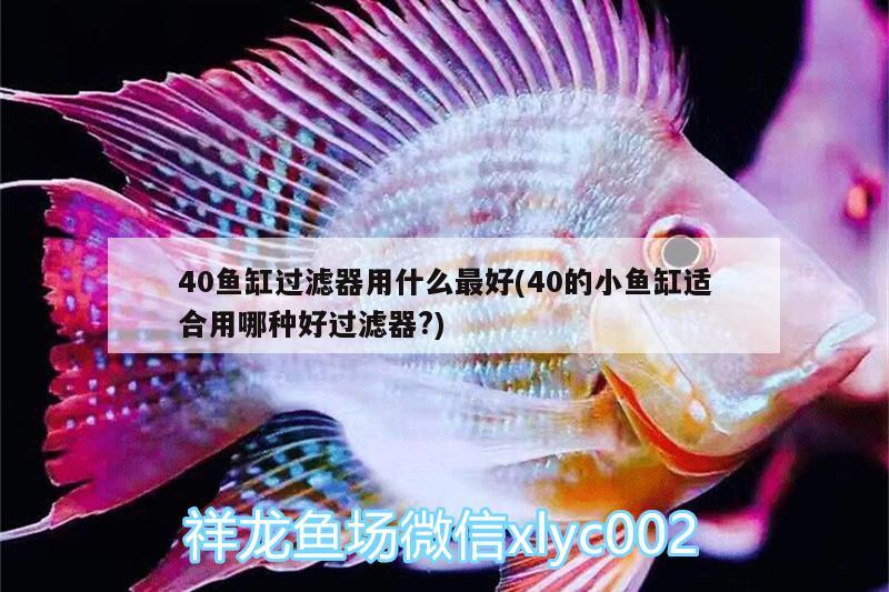 40魚(yú)缸過(guò)濾器用什么最好(40的小魚(yú)缸適合用哪種好過(guò)濾器?) 斑馬鴨嘴魚(yú)