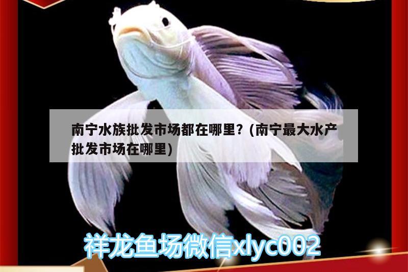 南寧水族批發(fā)市場都在哪里？(南寧最大水產(chǎn)批發(fā)市場在哪里)