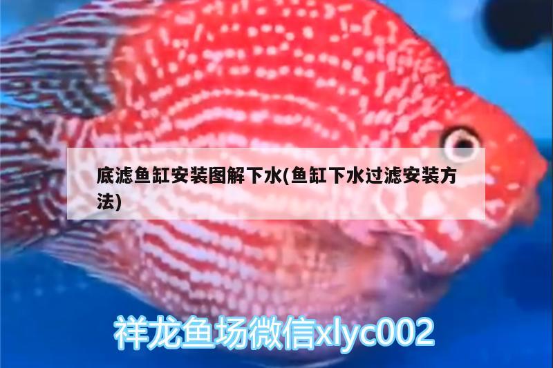 底濾魚缸安裝圖解下水(魚缸下水過濾安裝方法)