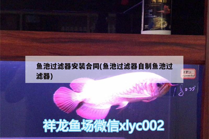 魚池過濾器安裝合同(魚池過濾器自制魚池過濾器) 高背金龍魚