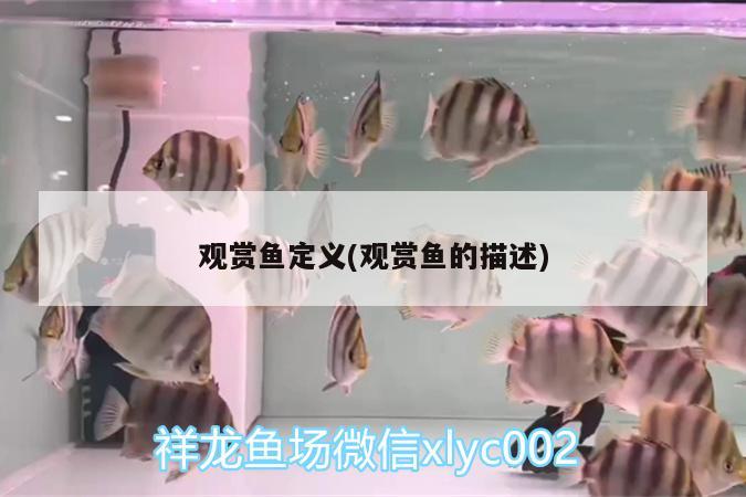 觀賞魚(yú)定義(觀賞魚(yú)的描述)