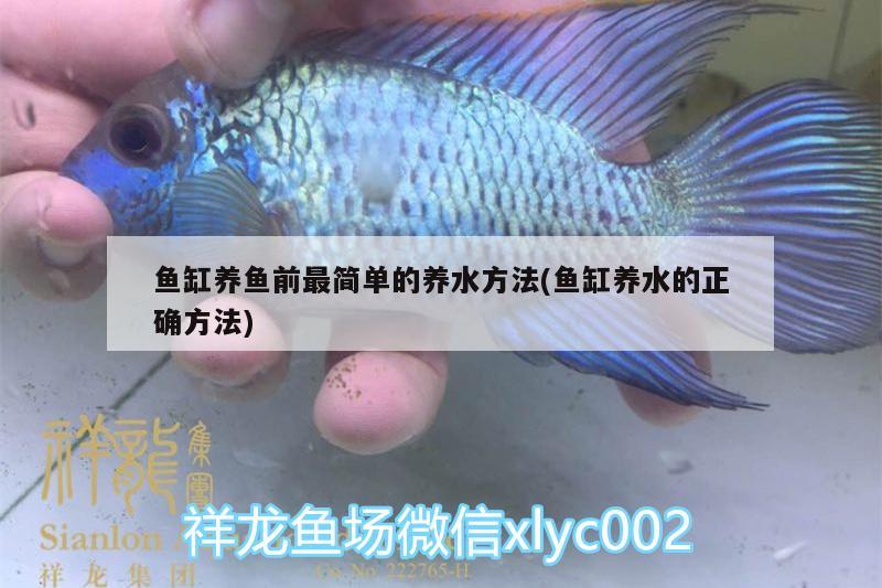 魚缸養(yǎng)魚前最簡單的養(yǎng)水方法(魚缸養(yǎng)水的正確方法) 金龍魚百科