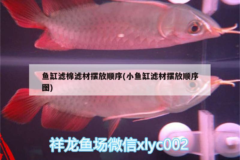 魚缸濾棉濾材擺放順序(小魚缸濾材擺放順序圖)