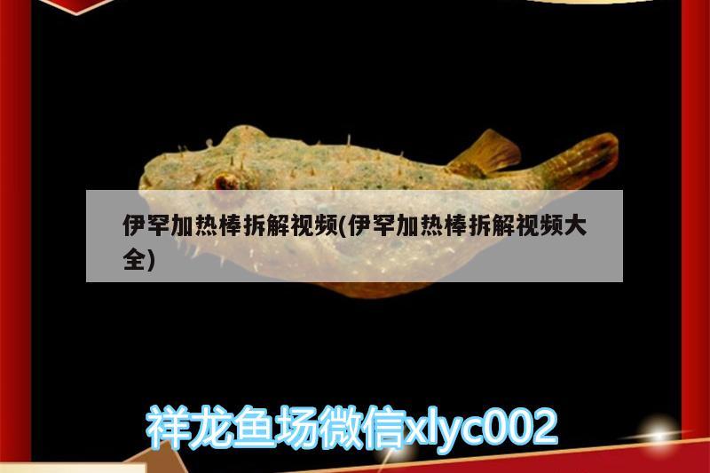 伊罕加熱棒拆解視頻(伊罕加熱棒拆解視頻大全) 伊罕水族