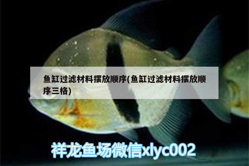 魚缸過濾材料擺放順序(魚缸過濾材料擺放順序三格) 白子銀版魚