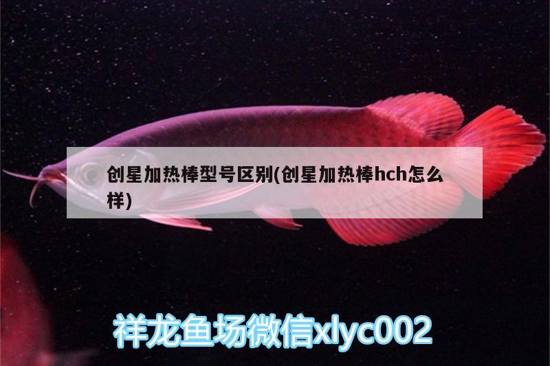 創(chuàng)星加熱棒型號(hào)區(qū)別(創(chuàng)星加熱棒hch怎么樣) 錦鯉池魚(yú)池建設(shè)