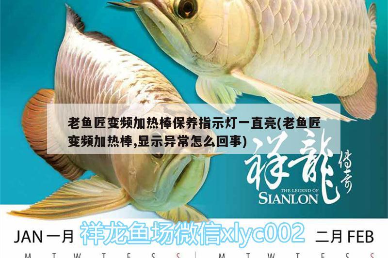 老魚匠變頻加熱棒保養(yǎng)指示燈一直亮(老魚匠變頻加熱棒,顯示異常怎么回事) 老魚匠