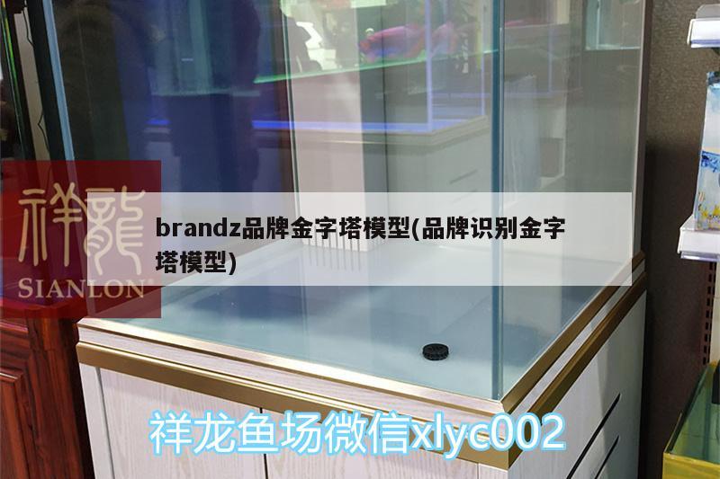 brandz品牌金字塔模型(品牌識(shí)別金字塔模型) 元寶鯽