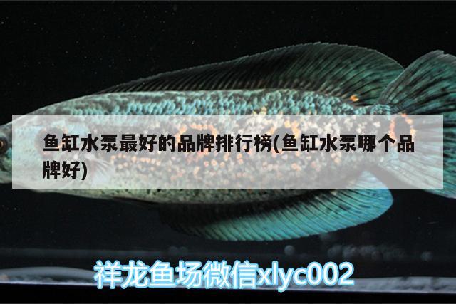 魚缸水泵最好的品牌排行榜(魚缸水泵哪個品牌好)