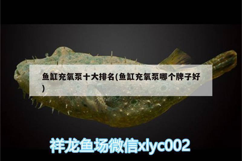 魚缸充氧泵十大排名(魚缸充氧泵哪個牌子好)