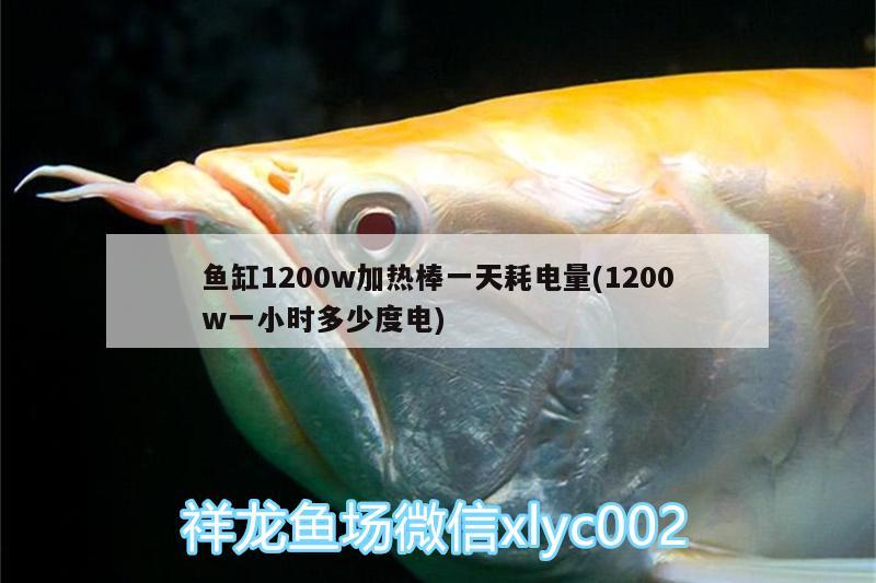 魚(yú)缸1200w加熱棒一天耗電量(1200w一小時(shí)多少度電)