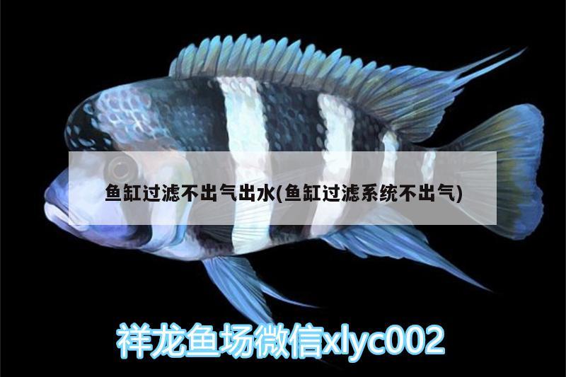 魚缸過濾不出氣出水(魚缸過濾系統(tǒng)不出氣)