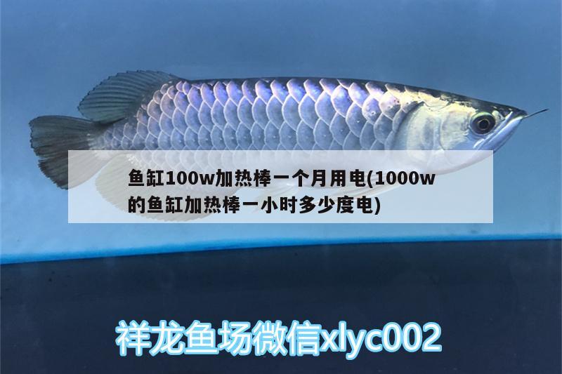 魚缸100w加熱棒一個月用電(1000w的魚缸加熱棒一小時多少度電)