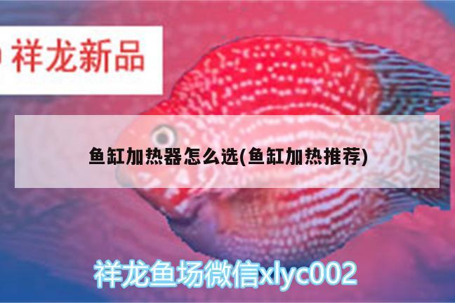 魚缸加熱器怎么選(魚缸加熱推薦) 三色錦鯉魚