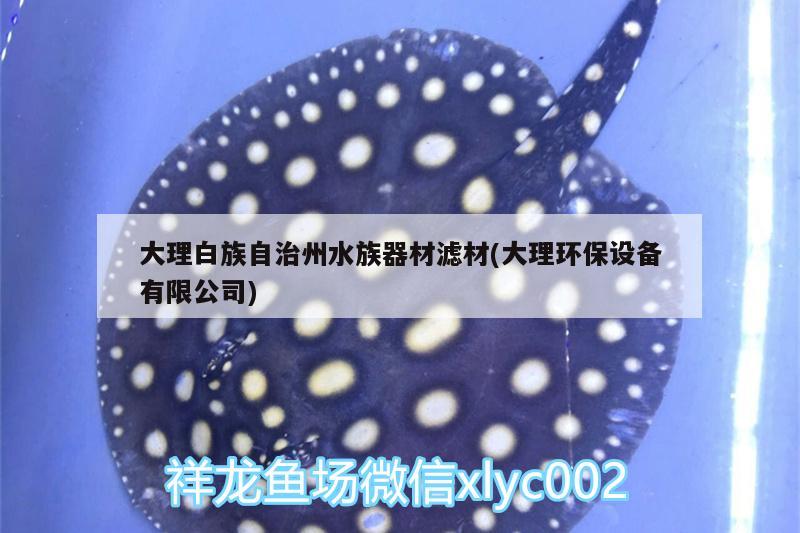 大理白族自治州水族器材濾材(大理環(huán)保設(shè)備有限公司)