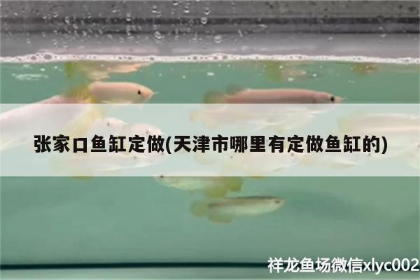 張家口魚(yú)缸定做(天津市哪里有定做魚(yú)缸的)