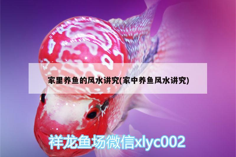 家里養(yǎng)魚的風水講究(家中養(yǎng)魚風水講究) 魚缸風水