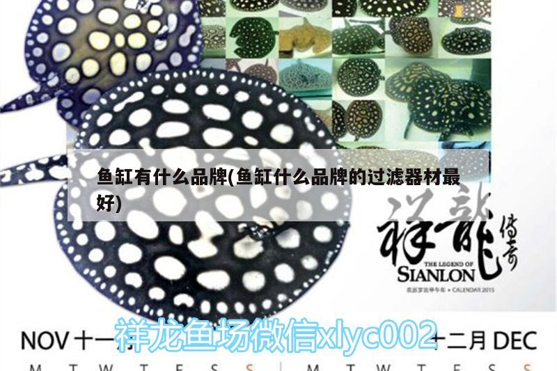 魚(yú)缸有什么品牌(魚(yú)缸什么品牌的過(guò)濾器材最好) 三間鼠魚(yú)