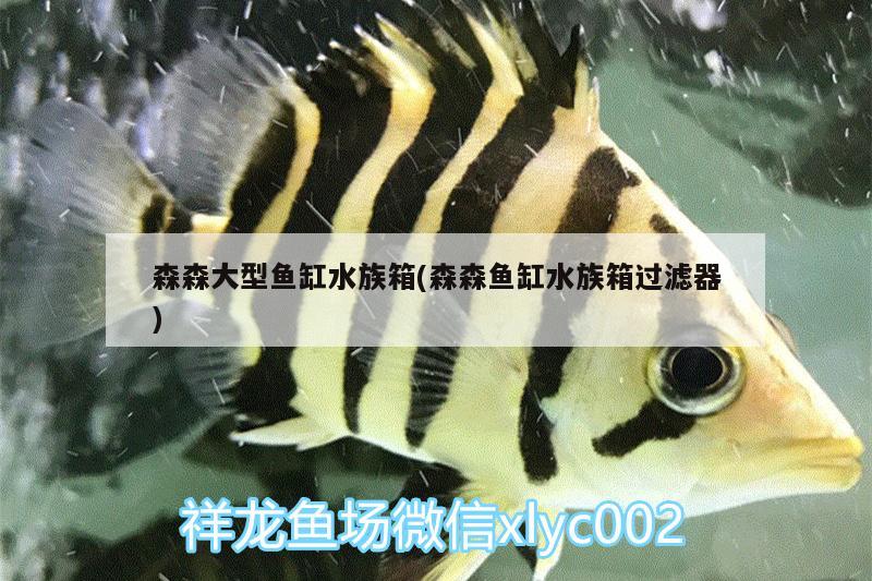 森森大型魚缸水族箱(森森魚缸水族箱過濾器) 魚缸/水族箱