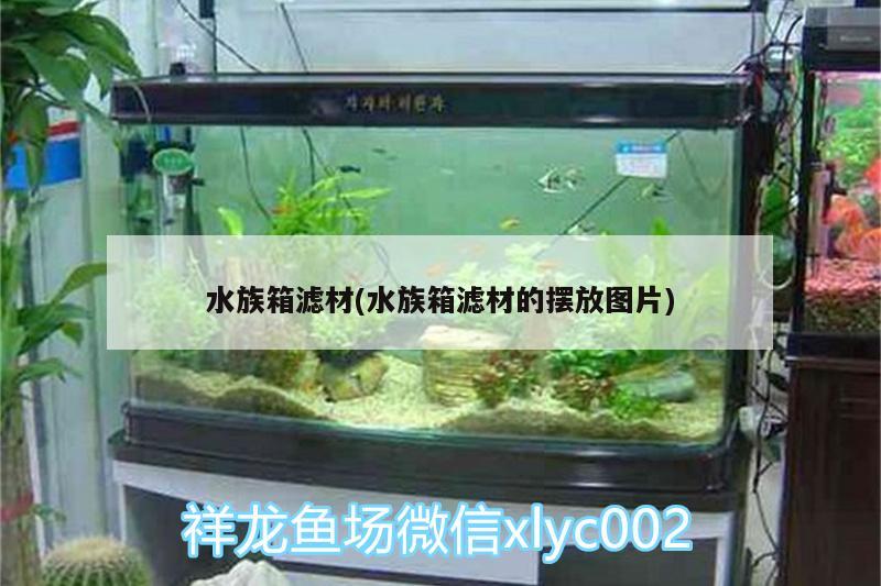 水族箱濾材(水族箱濾材的擺放圖片)