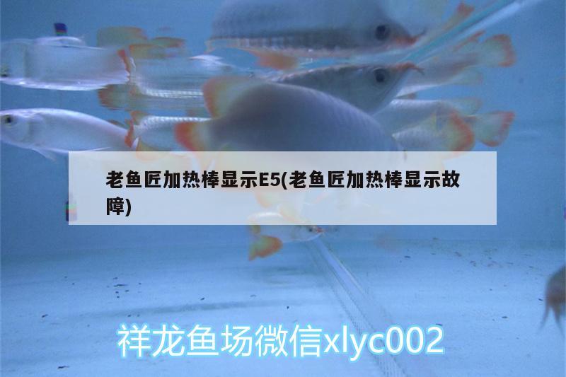 老魚(yú)匠加熱棒顯示E5(老魚(yú)匠加熱棒顯示故障) 老魚(yú)匠 第2張