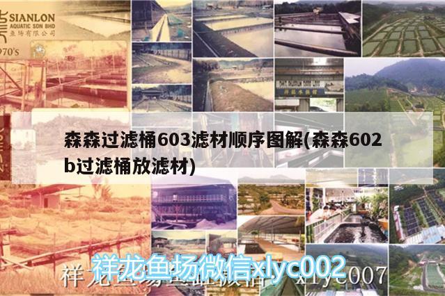 森森過濾桶603濾材順序圖解(森森602b過濾桶放濾材)