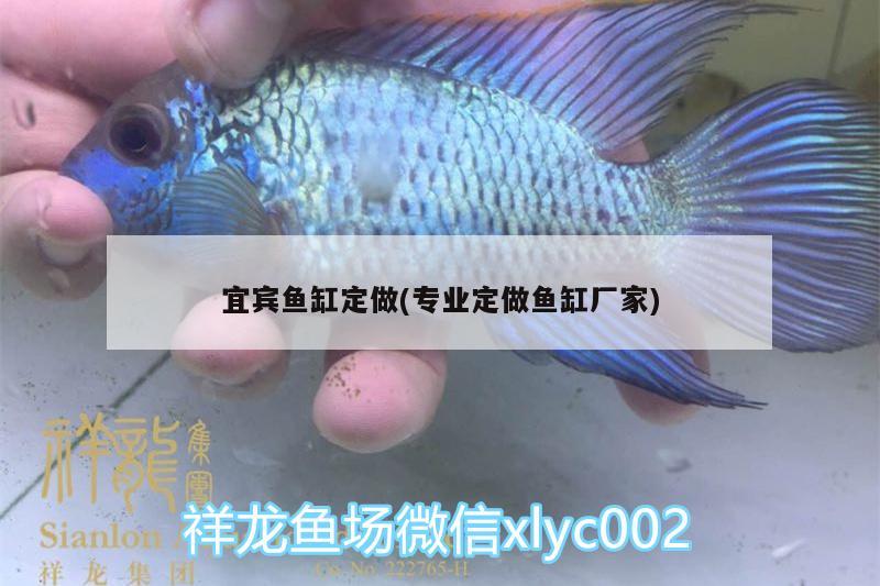 宜賓魚缸定做(專業(yè)定做魚缸廠家) 養(yǎng)魚的好處