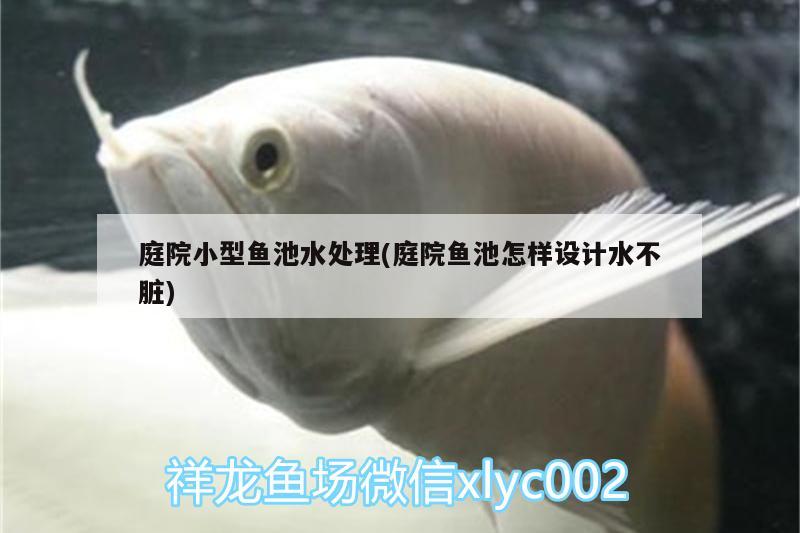 庭院小型魚池水處理(庭院魚池怎樣設(shè)計水不臟)