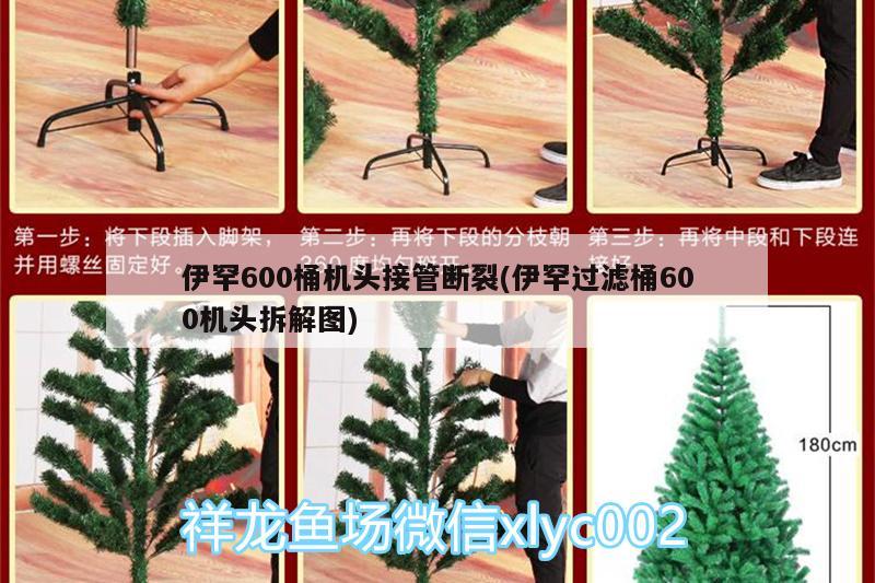 伊罕600桶機(jī)頭接管斷裂(伊罕過濾桶600機(jī)頭拆解圖)