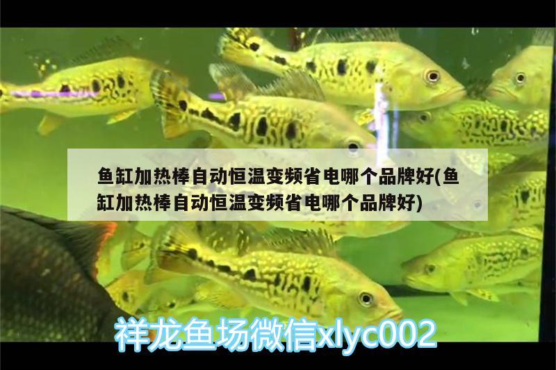 魚缸加熱棒自動恒溫變頻省電哪個品牌好(魚缸加熱棒自動恒溫變頻省電哪個品牌好)