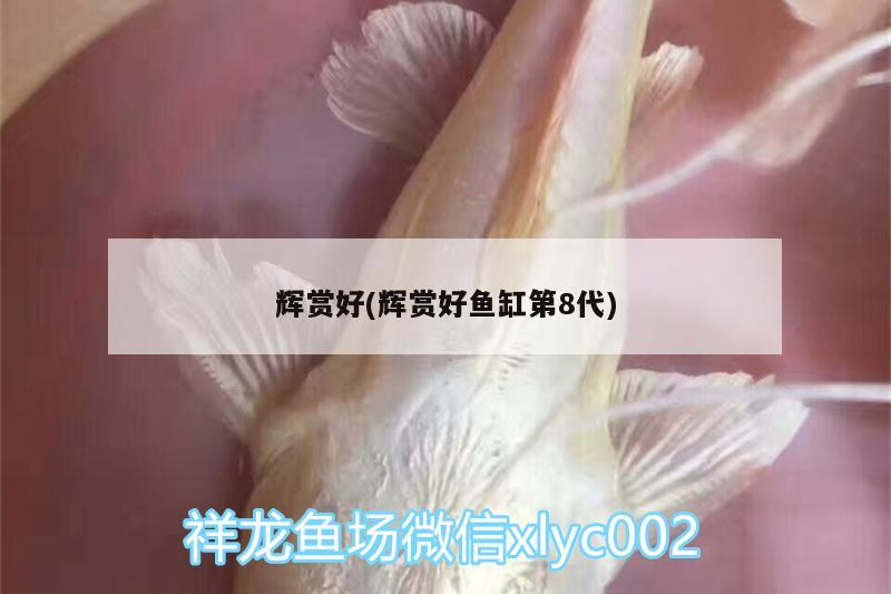 輝賞好(輝賞好魚缸第8代)