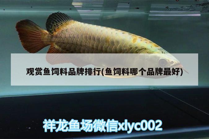 觀賞魚飼料品牌排行(魚飼料哪個(gè)品牌最好)