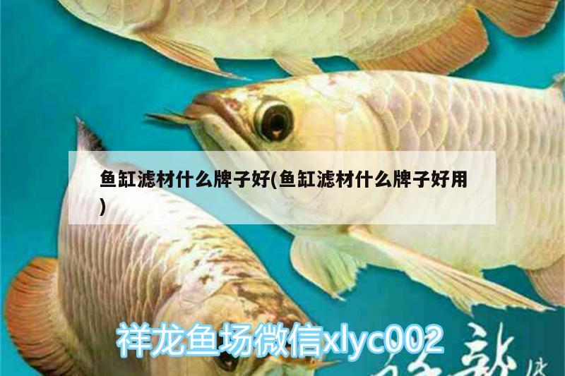 魚缸濾材什么牌子好(魚缸濾材什么牌子好用) 祥禾Super Red紅龍魚