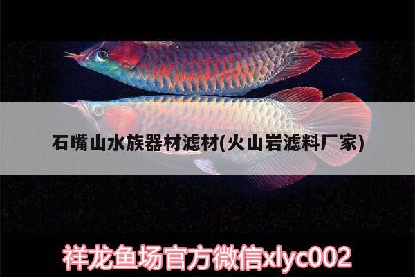 石嘴山水族器材濾材(火山巖濾料廠家)