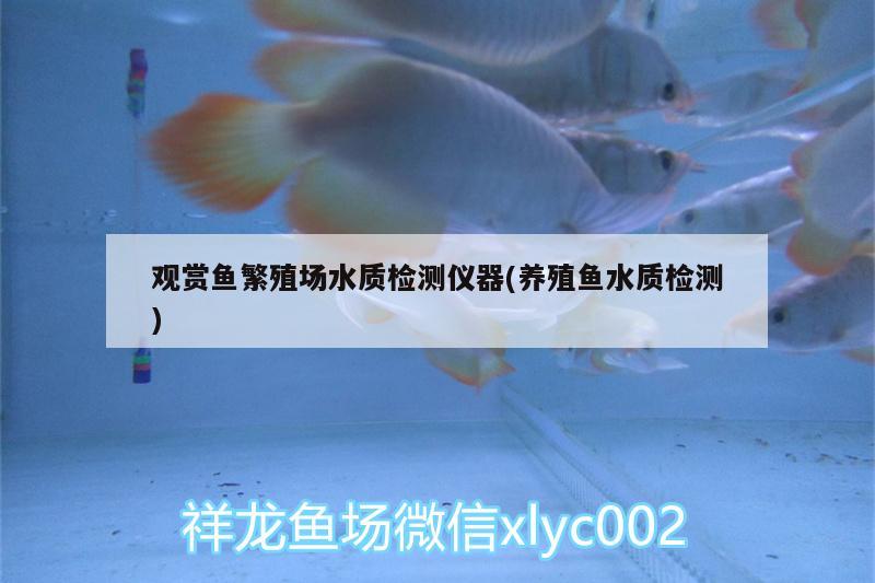 觀賞魚(yú)繁殖場(chǎng)水質(zhì)檢測(cè)儀器(養(yǎng)殖魚(yú)水質(zhì)檢測(cè)) 祥龍魚(yú)場(chǎng)品牌產(chǎn)品