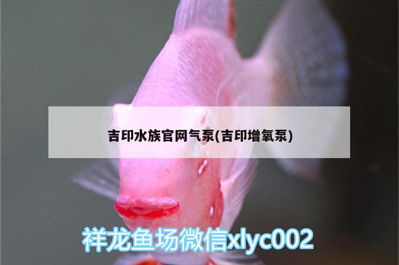 吉印水族官網(wǎng)氣泵(吉印增氧泵) 吉印水族