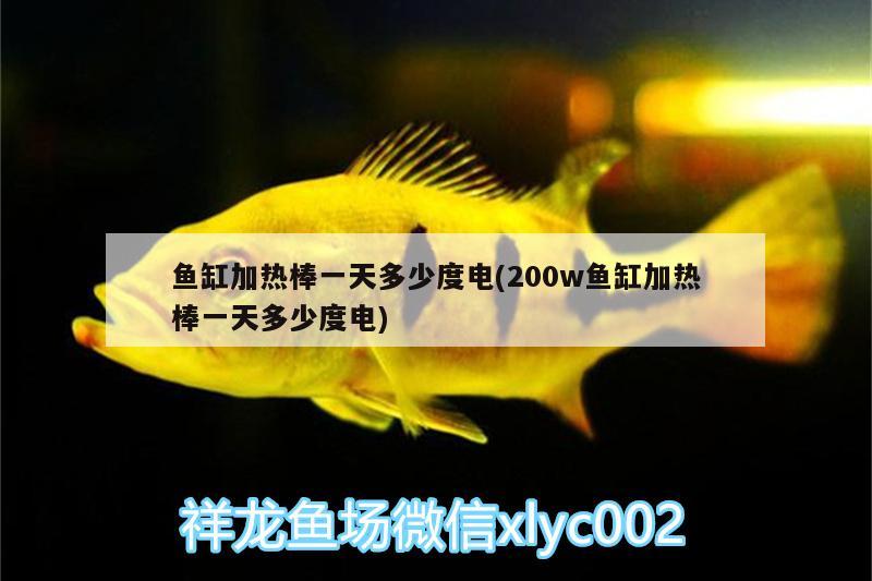 魚缸加熱棒一天多少度電(200w魚缸加熱棒一天多少度電) 羅漢魚批發(fā)