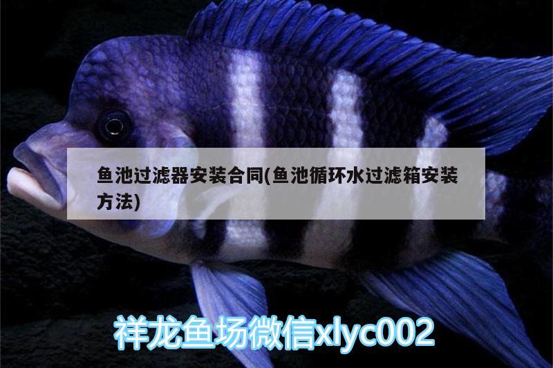 魚池過濾器安裝合同(魚池循環(huán)水過濾箱安裝方法) 銀古魚苗