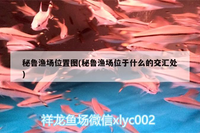 秘魯漁場位置圖(秘魯漁場位于什么的交匯處) 水族品牌