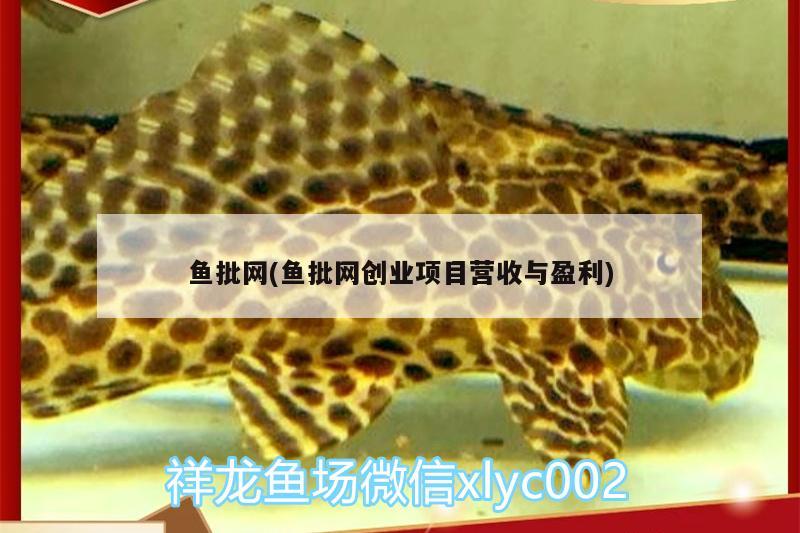 魚(yú)批網(wǎng)(魚(yú)批網(wǎng)創(chuàng)業(yè)項(xiàng)目營(yíng)收與盈利) 藍(lán)帆三間魚(yú)