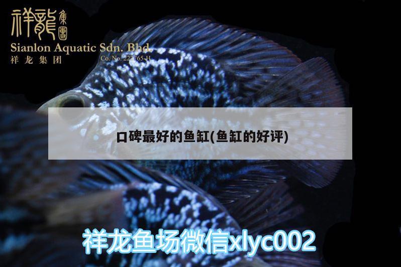 口碑最好的魚缸(魚缸的好評)