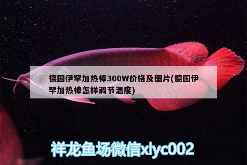 德國伊罕加熱棒300W價格及圖片(德國伊罕加熱棒怎樣調(diào)節(jié)溫度) 伊罕水族