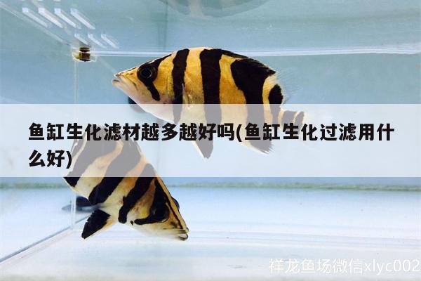 魚缸生化濾材越多越好嗎(魚缸生化過濾用什么好) 過濾設(shè)備