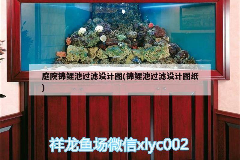 庭院錦鯉池過濾設計圖(錦鯉池過濾設計圖紙)