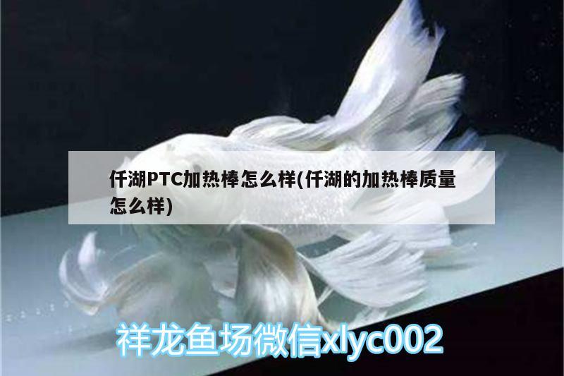 仟湖PTC加熱棒怎么樣(仟湖的加熱棒質量怎么樣)